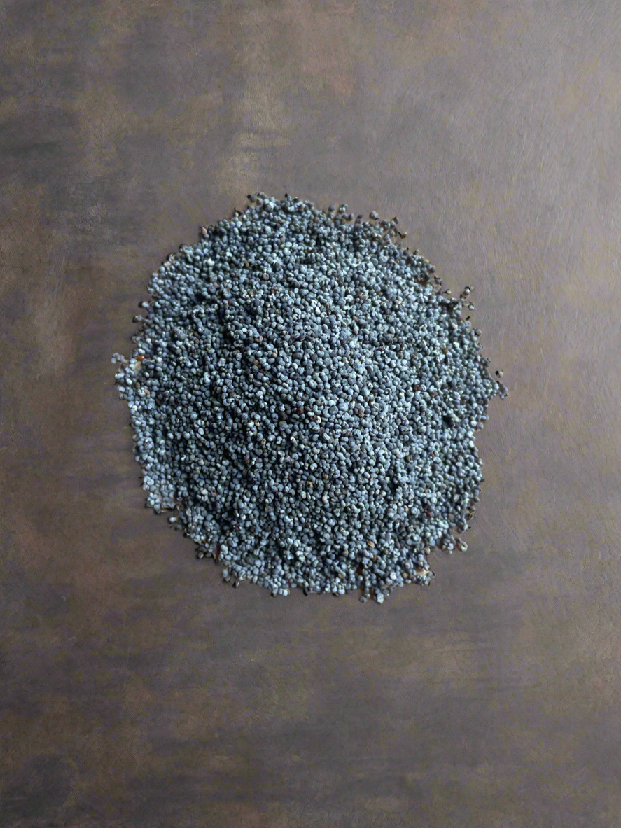Maanzaad