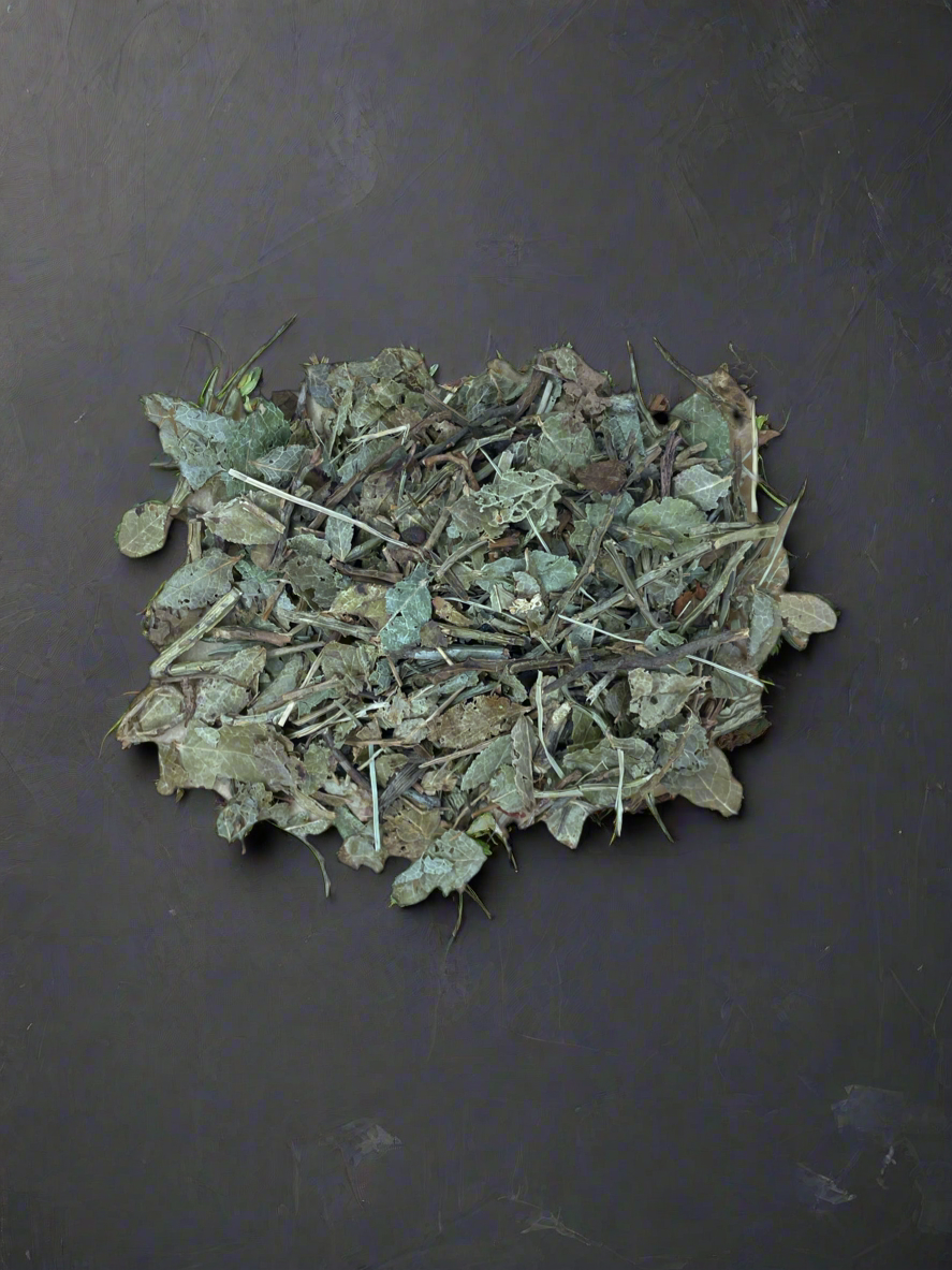 Bosbessen Blad (Thee)