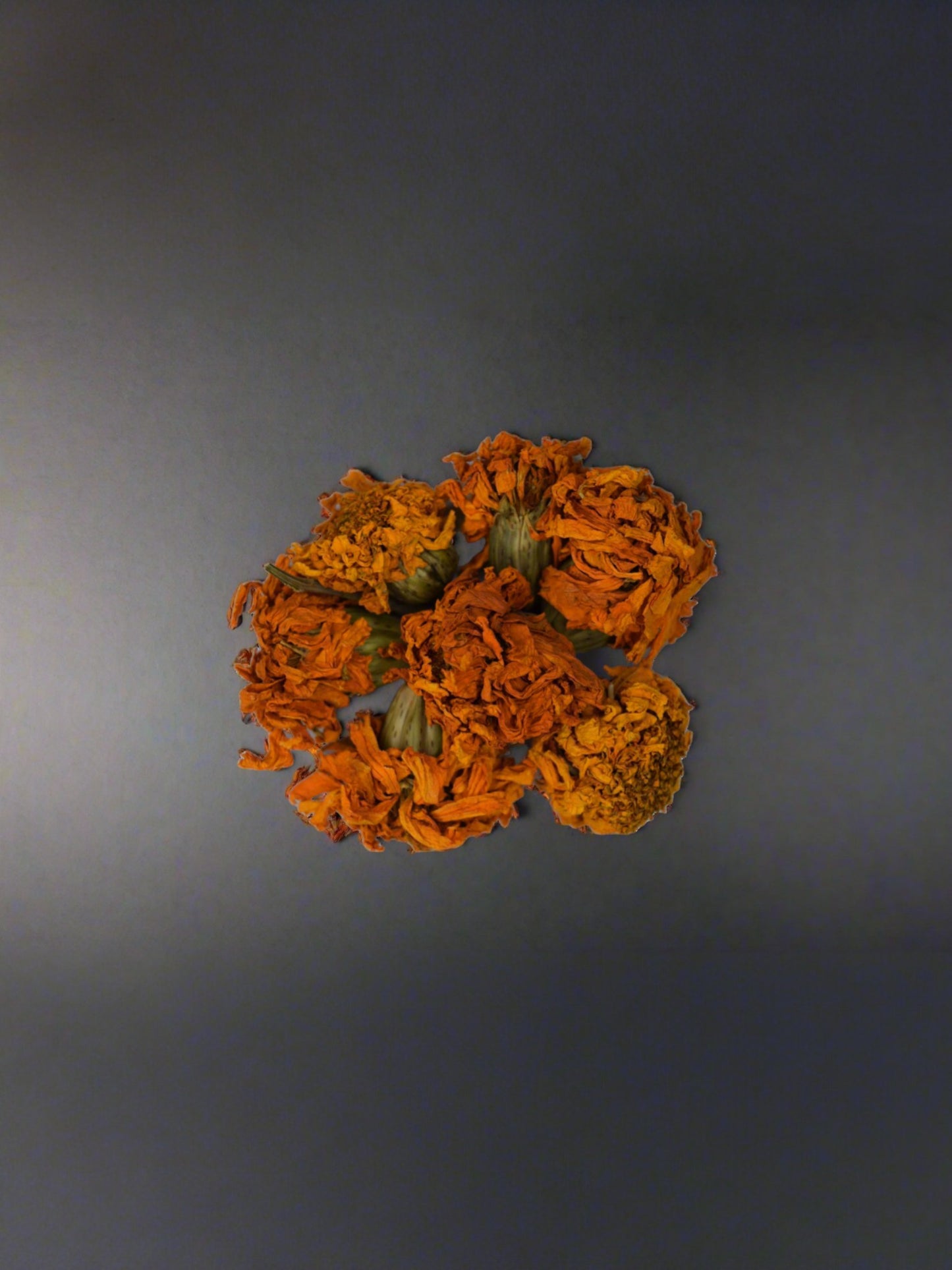 Afrikaantjes / Tagetes (Thee)