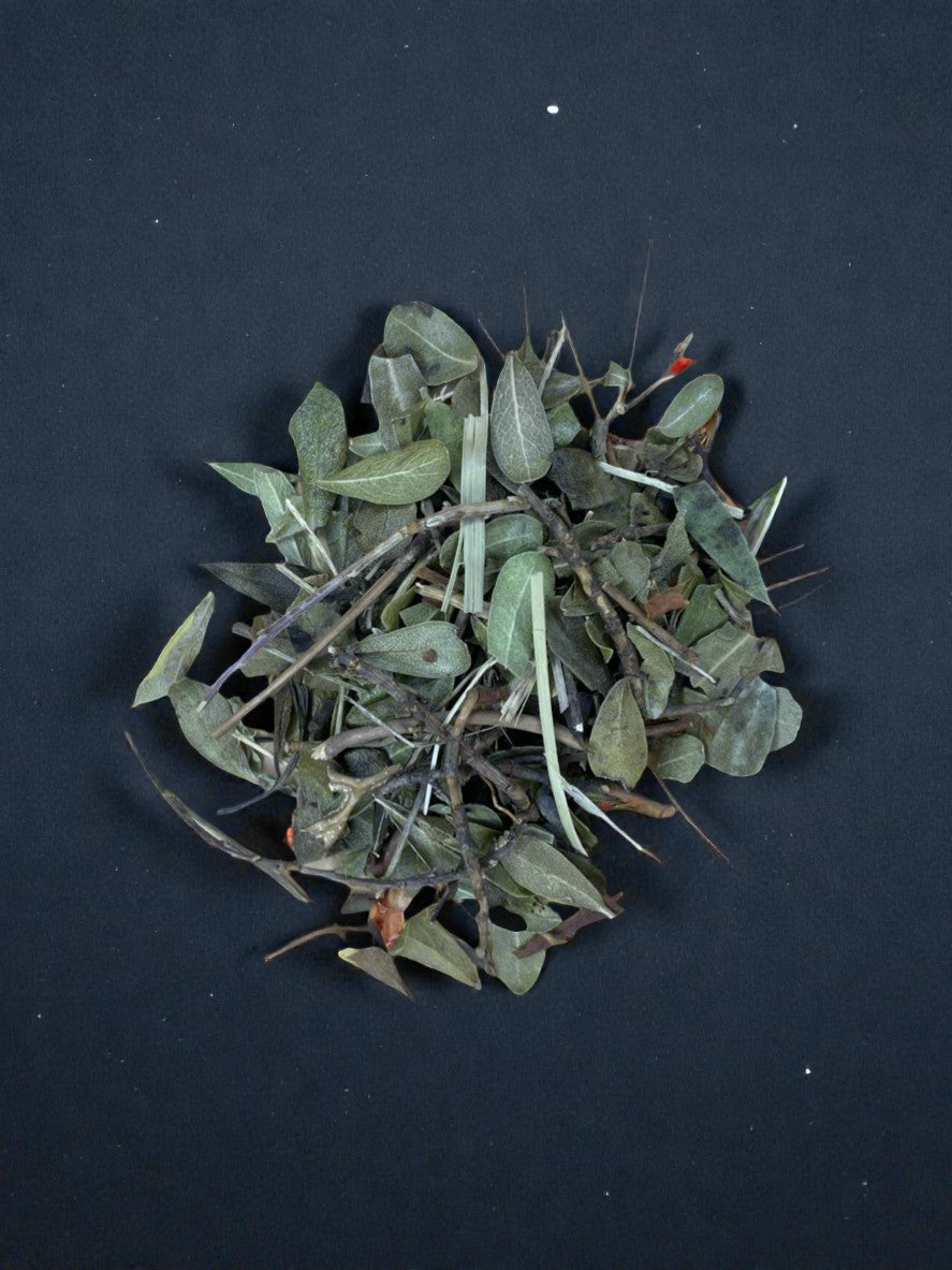 Berendruif Blad (Thee)