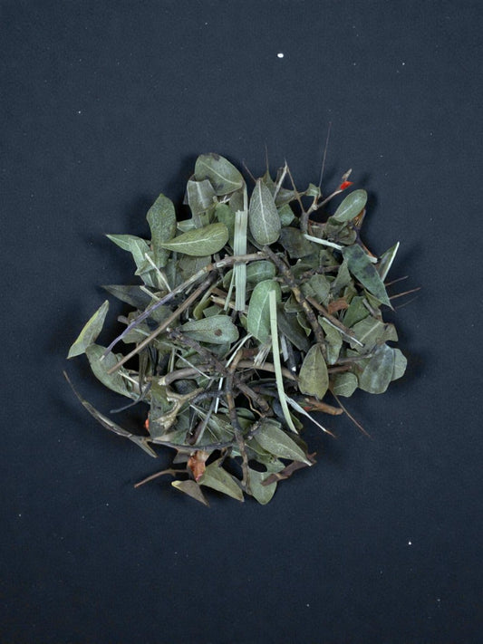 Berendruif Blad (Thee)